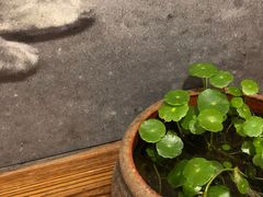 -太平张醪糟(翔凤店)