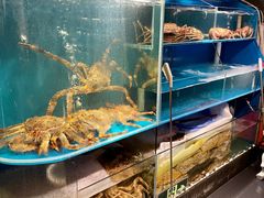 -蟹田居·活蟹料理(东城店)