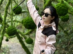 -龙湾潭国家森林公园