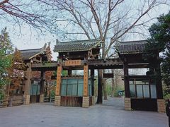 -溱湖国家湿地公园