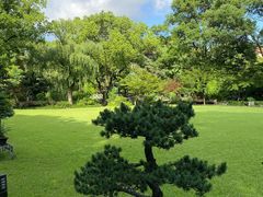 -申粤轩酒楼·三十年粤菜经典(丁香花园店)