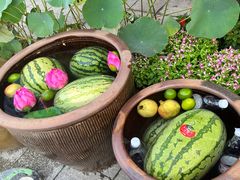 -赵美丽·重庆社区火锅·直营店(火车东站·中豪国际店)