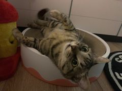 -美联众合24小时·皮肤科·外科·全科诊疗中心(华苑分院)