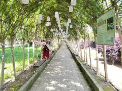 -武汉紫薇都市田园