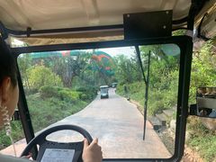 -杭州开元森泊度假乐园