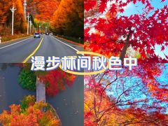 -少华山国家森林公园