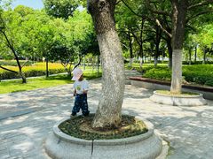 -天鹅湖体育公园