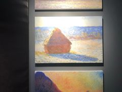 -印象莫奈时光映迹艺术展