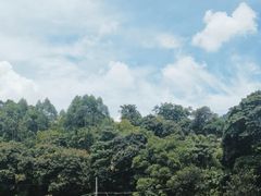 -百里鲜(羚羊峡古栈道森林公园店)