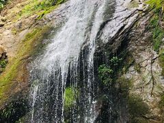 -江西阳明山国家森林公园