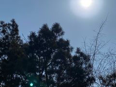 -丁香湖公园