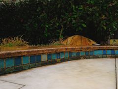 -咸宁万豪温泉谷度假区