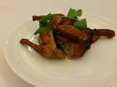 红烧乳鸽-小榄人家酒楼(民安店)