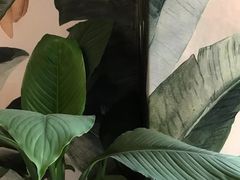 -So Acai(天河店)