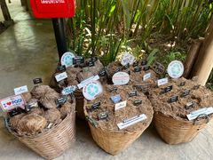 -大象粑粑造纸公园