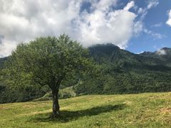 -硗碛藏寨·神木垒景区