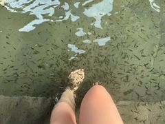 -扬州瘦西湖温泉
