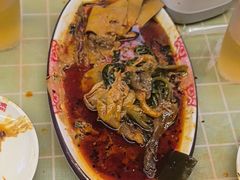 -福苗小骆驼烧烤(莲湖路店)