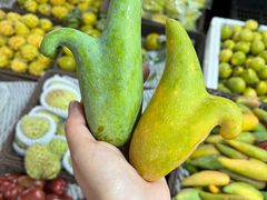 -兴隆华侨农场