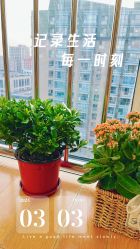 -爱美睫美甲会馆