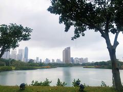 -万绿园