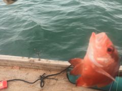 -顺则昌推按正骨理疗