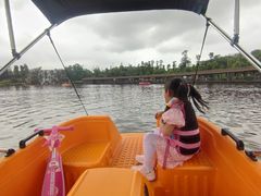 -枫香湖儿童公园