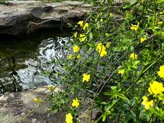 -范蠡湖公园