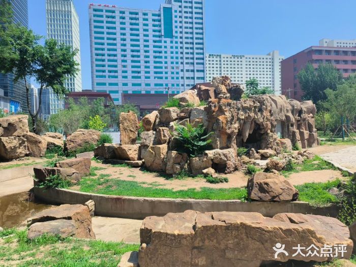 沈阳中山公园图片