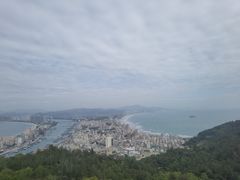 -广东惠东海龟国家级自然保护区
