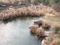 -巢湖姥山岛