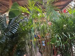 -天发长铁锅炖(王秀村店)