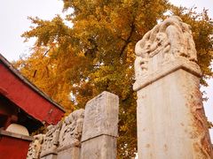 -北京石刻艺术博物馆(五塔寺)