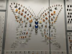 -四川大学博物馆