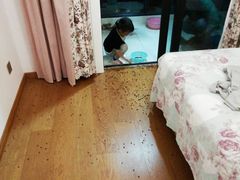 -七天萌宝·玛利娅蒙特梭利国际儿童之家(夏驾汇校区)
