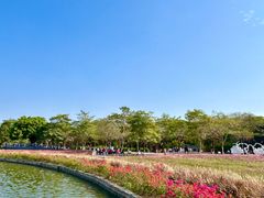 -海珠湖公园