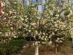 -大兴滨河森林公园