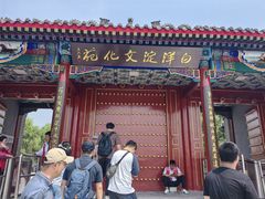 -白洋淀景区