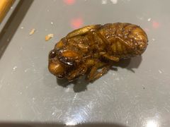 -即墨印象