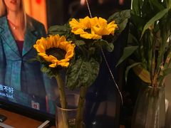 -循礼门鲜花花市(武汉循礼门店)