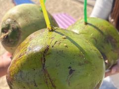 -玫瑰海岸文化旅游度假区