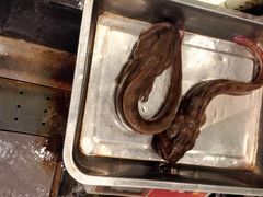 -悦港(悦港酒店)