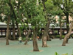 -流沙人民公园
