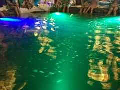 -宝丽金大酒店·洗浴中心