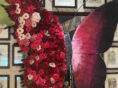-芭提雅PHO THAI(美美1店)