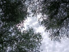 -玄武湖景区-情侣园游乐场