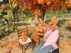 -HERRE·FARM 赫尔露营农场·团建聚会包场