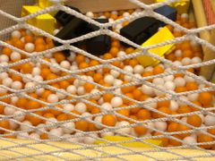 -德克士(宽甸店)