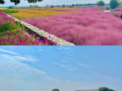-江苏三台山国家森林公园