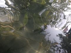 -三亚珠江南田温泉度假区